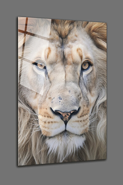 BV DEKOR ΓΥΑΛΙΝΗ ΠΙΝΑΚΙΔΑ ΛΕΥΚΟ ΠΟΡΤΡΕΪΤΟ ΛΙΟΝΤΑΡΙΟΥ - ΔΙΑΚΟΣΜΗΣΗ ΓΡΑΦΕΙΟΥ - ...