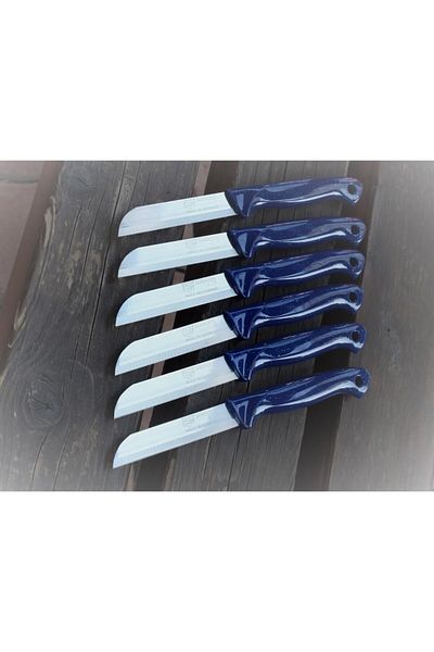 Solingen 12 Pieces Glittered Fruit and Vegetable Knife - Serrated with Holes on the Handle