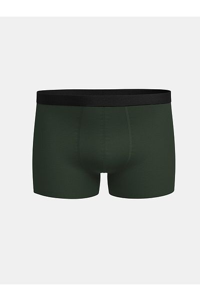 LC Waikiki Ανδρικά Boxers Flexible Cotton Standard Mold - Συσκευασία των 2