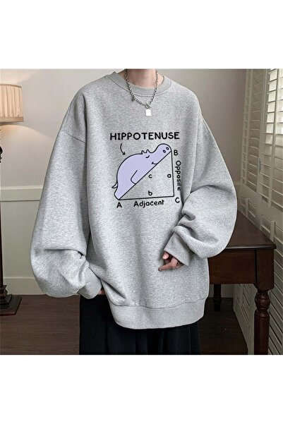 Toum Hippotenuse Printed - Unisex Gray Oversize Crew Neck Sweatshirt Drop Hobby