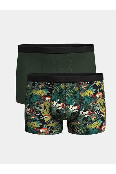 LC Waikiki Ανδρικά Boxers Flexible Cotton Standard Mold - Συσκευασία των 2