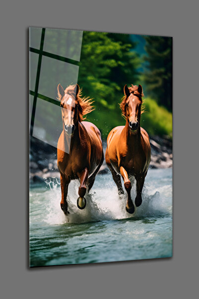 BV DEKOR ΓΥΑΛΙΝΗ ΠΙΝΑΚΙΔΑ - ΤΡΕΧΟΝΤΑ ΑΛΟΓΑ - ΓΥΑΛΙΝΗ ΠΙΝΑΚΙΔΑ ΑΠΟ ΣΚΛΗΡΟ ΑΝΘΕ...