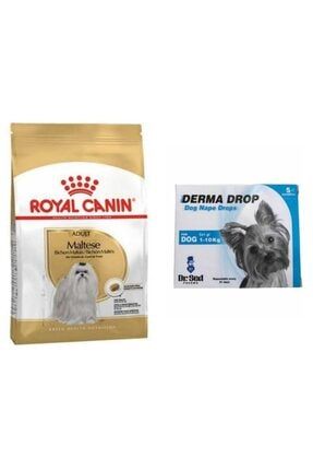Royal canin maltese terrier 2025