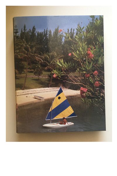 Çınar A4 4 Cm. 2 Ring Scenic Folder