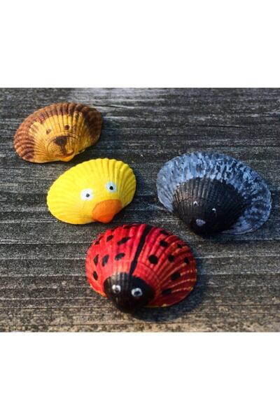 Bundera Shell Painting Set, Seashell Painting