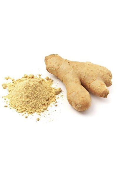 Genel Markalar Toz Zencefil 500 Gr