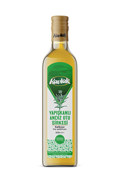 KAVLAK KURUYEMİŞ Doğal Yapışkanlı Andız Otu Doğal Fermantasyon Detox Sirke 500ml