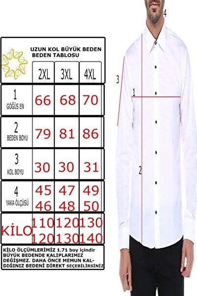 Varetta Men's Plum Color Plus Size Flat Short Sleeve Lapel Button Up Shirt