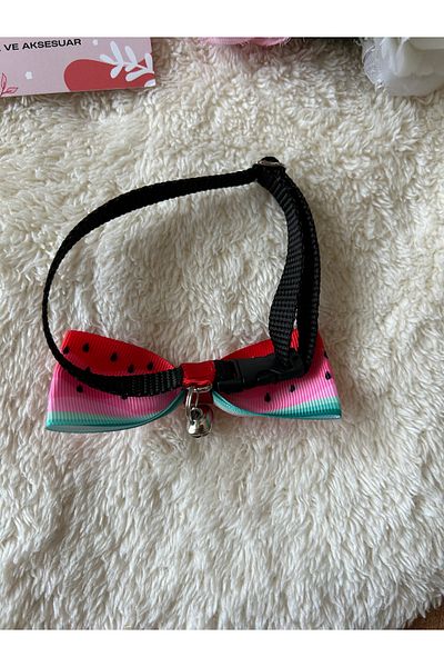 Melo Watermelon Patterned Cat and Small Breed Dog Collar