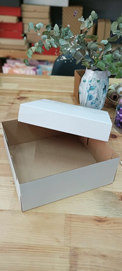 demontecraft 25x25x10 kutu 3 adet  ayrı kapak li