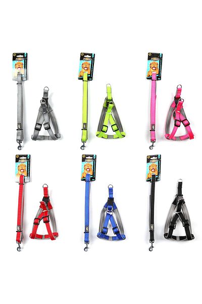 Doglife Soft Collar and Walking 1.5cm for Dogs