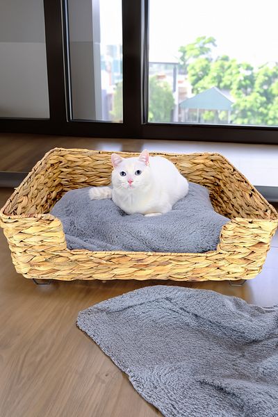 Digithome Wicker Rectangular Cat and Dog Bed with Inner Cushion 60.5 Cm Brown - CL-4038 C1-1-121