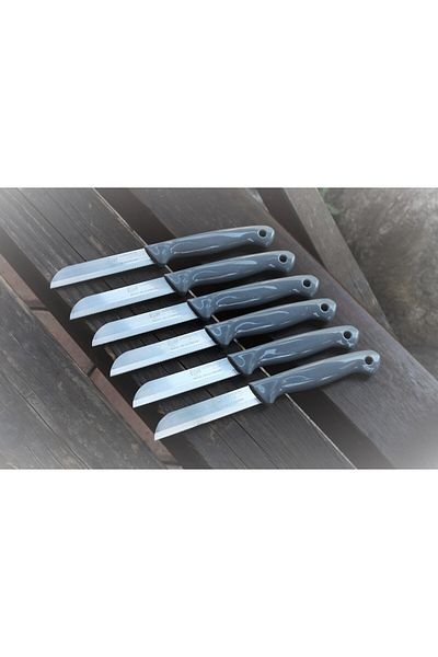 Solingen 12 Pieces Glittered Fruit and Vegetable Knife - Serrated with Holes on the Handle