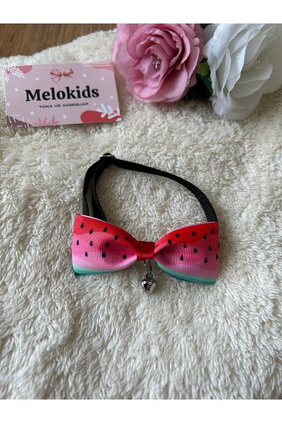 Melo Watermelon Patterned Cat and Small Breed Dog Collar