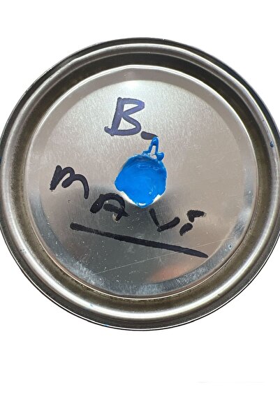 GEMSA BOYA Sentetik Boyalar 1Kg