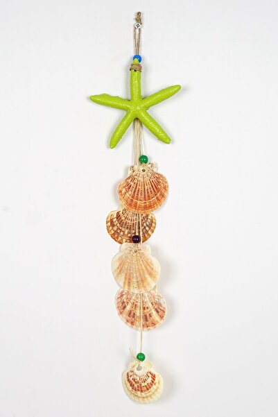 Colorful Starry Seashell Wind Bell Wall Ornament