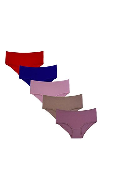 daniella Women's 5-Piece Large Size Panties