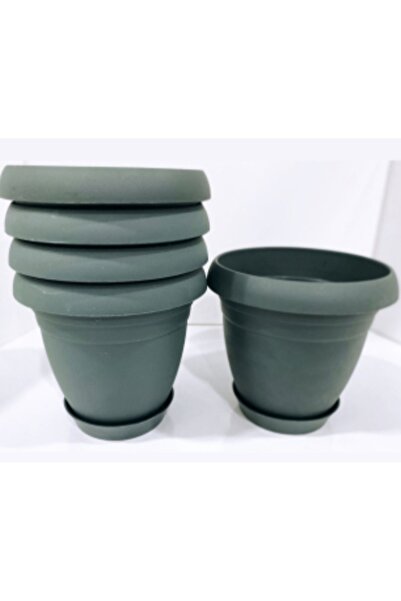 seazde Poliwork Nergiz 3,5 Litre Tabaklı Saksı 5 Adet