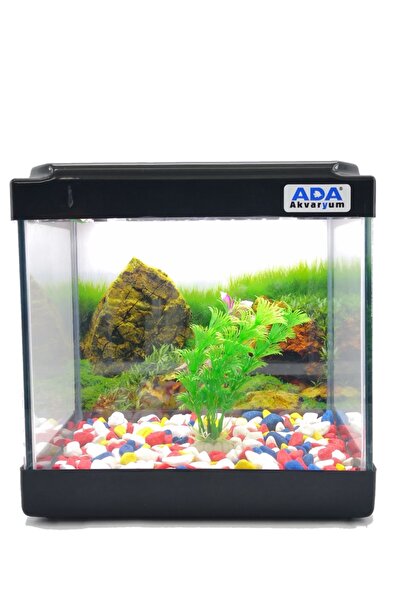 ADA AKVARYUM Mini Akvaryum Siyah 20x20x15 Akvaryum Renkli Çakıl Plastik Bitki Arka Fon