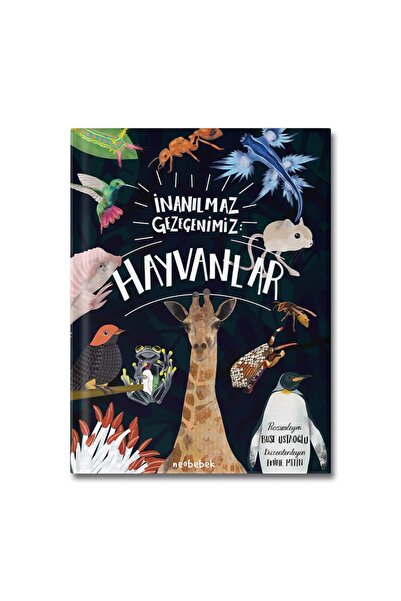Neobebek İnanılmaz Gezegenimiz: Hayvanlar