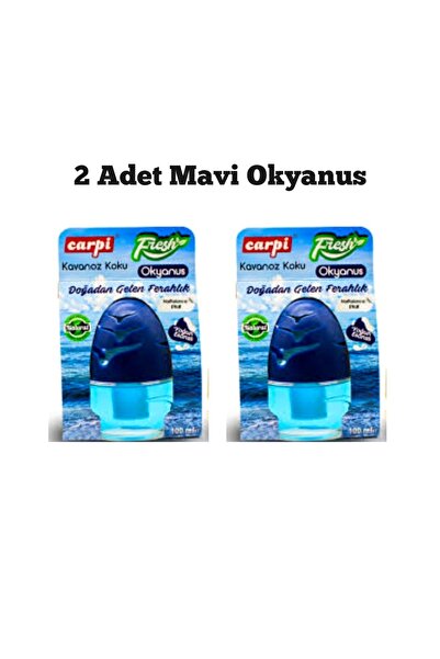 CARPİ Oto Ve Oda Kokusu Yoğun Esanslı Natural Kavanoz 100ml Okyanus 2 Adet