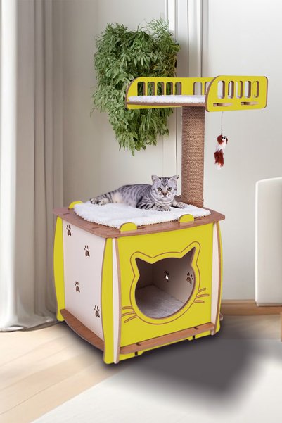 Patihomes Kedi Evi Ve Kedi Tırmalama Yataklı