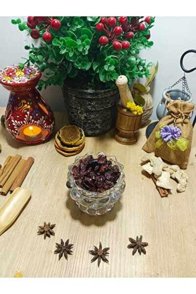 Diyet AVM التوت البري البري