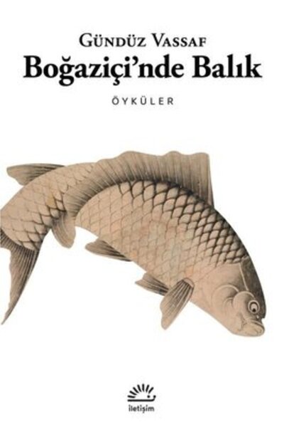 İletişim Yayınları Fish in the Bosporus - Stories