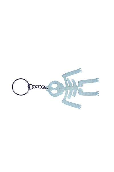 Tesseract Keychain Moving Translucent Skeletor