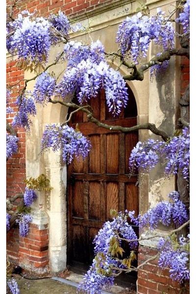 MARCEL SANAT Purple Flowers on the Door Marcel Art Diamond Mosaic Painting 43x69cm