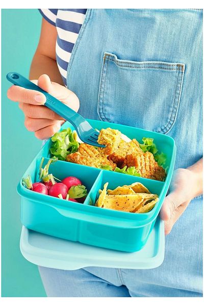 Tupperware lunch bags online shopping store