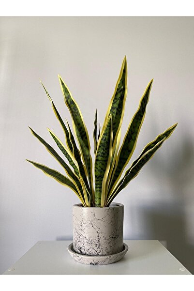 odka 8litre Silindir Saksı Tabaklı Yükseklik:17cm Çap:20cm Mia Granit Mermer ...