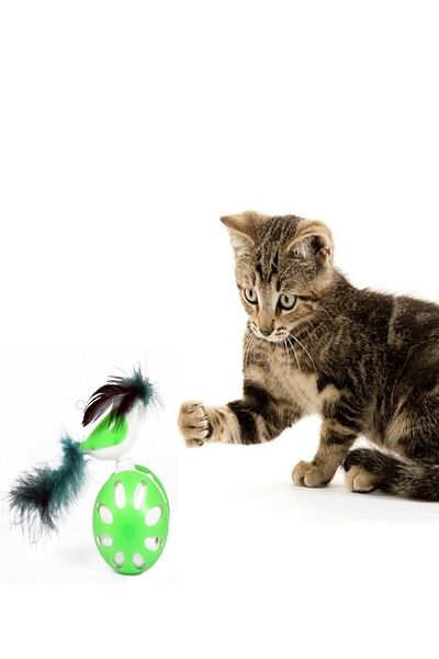 TİNEKE WHEELPROOF BIRD CAT TOY GREEN 1 PIECE
