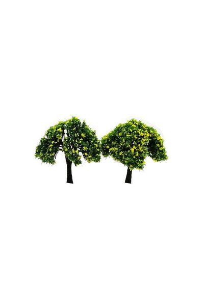 Jordania 6 cm Model Tree 2 Pieces Nw6070D