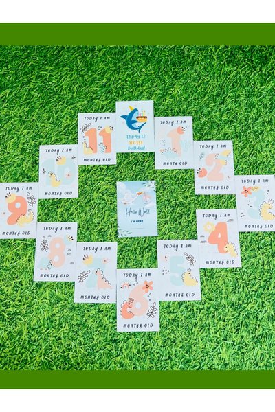 PharMete Baby&Kids Baby Memory Cards Turkish & English Baby Boy