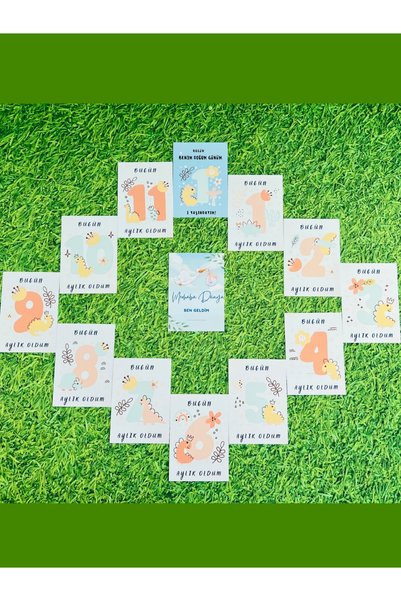 PharMete Baby&Kids Baby Memory Cards Turkish & English Baby Boy