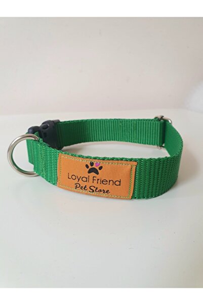 Loyal Friend Store Yeşil Renk Köpek Boyun Tasma Takım Seti (boyun Ölçüsü 40-50 Cm)