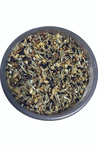 Versele Laga Yabani Sağlık Tohumu 500gr