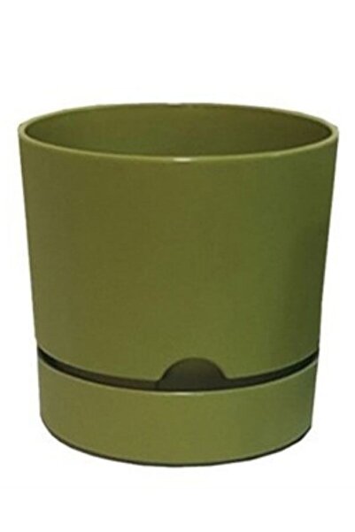 Viyalente Polıwork Saksı Begonya 18 Cm Yosun Yeşili