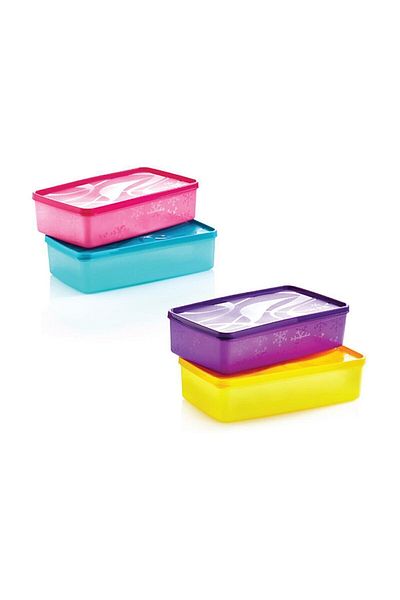 Viyalente 2.1 L (4pcs) Alaska Deep Freezer Storage Container Sa-980