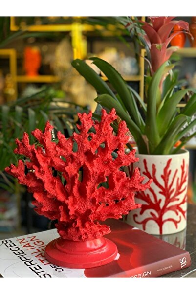 mar&more Kırmızı Mercan