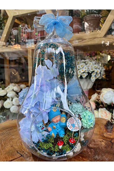 Favori Çiçek Hoşgeldin Erkek Bebek Teraryum