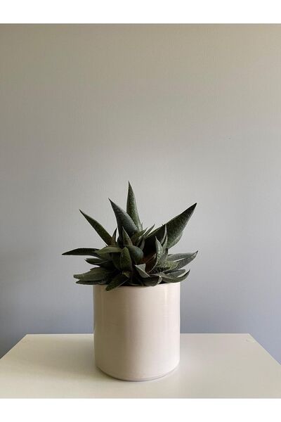 odka 8litre Silindir Saksı Tabaklı Yükseklik:17cm Çap:20cm Ekru