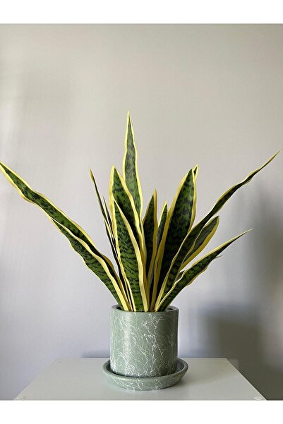 odka 8litre Silindir Saksı Tabaklı Yükseklik:17cm Çap:20cm Mia Mint Yeşili Mermer Desenli