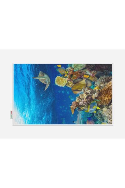 Tropikhome سجادة حمام من البوليستر المطبوع رقميًا مقاس 50 × 80 مع قاعدة مضادة للانزلاق