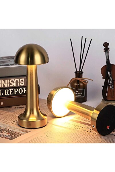 Genel Markalar Şarjlı Dokunmatik Led Masa Lambası, Ayarlanabilir Renk Tonu, Ç...