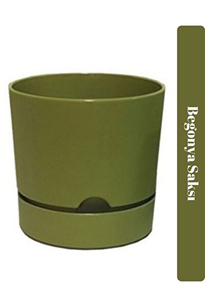 Viyalente Polıwork Saksı Begonya 12 Cm Yosun Yeşili