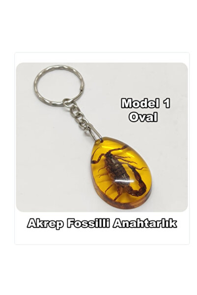 Tahtakale Dünyası Gerçek akrep anahtarlık reçine içinde donmuş akrep olan ana...