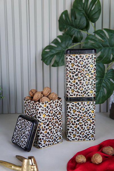 EVLE Erb09v4 Square Storage Container 105x105x160 Set of 3, Leo