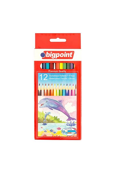 Bigpoint Aquarelle 12 Color Brush Crayons - Bp944-12